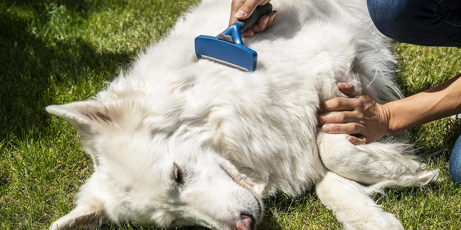 Pet Grooming Tools -Pet Grooming Tools 1
