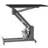 PetLift MasterLift Hydraulic Grooming Table - Silver