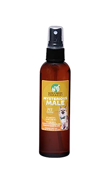 ShowSeason Bath & Brush Therapies® Mysterious Male Pet Cologne