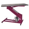 PetLift MasterLift Hydra Grooming Table Purple 1 PetLift MasterLift Hydra Grooming Table Purple -Pet Grooming Tools 14557 l v2