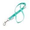 Groomer Essentials 17" Grooming Loop Turquoise -Pet Grooming Tools 14891 l