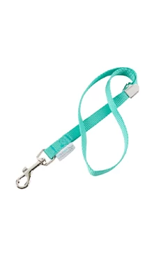 Groomer Essentials 17" Grooming Loop Turquoise