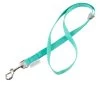 Groomer Essentials 22" Grooming Loop Turquoise 2 Groomer Essentials 22" Grooming Loop Turquoise -Pet Grooming Tools 14893 l