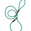 Groomer Essentials 6' Royal Slip Lead Turquoise -Pet Grooming Tools 14895 l