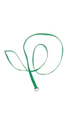 Groomer Essentials 4' Kennel Leads 12 Pack Green