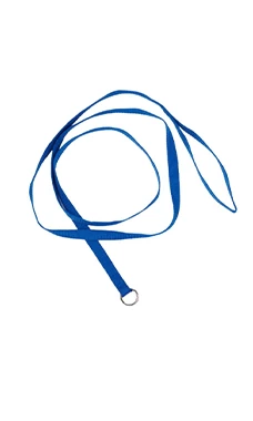 Groomer Essentials 6' Kennel Leads 12 Pack Blue