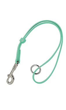 Groomer Essentials Waterproof Grooming Loop - Turquoise
