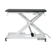 Groomer Essentials Low Level Electric Grooming Table
