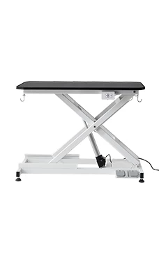 Groomer Essentials Low Level Electric Grooming Table