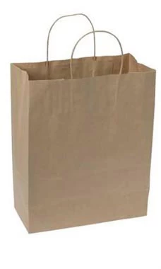 X-Large (Traveler) Natural Kraft Paper Shopping Bags - Case Of 250