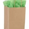 Small Kraft Paper Shopping Bags - Case Of 100