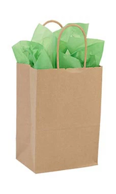 Small Kraft Paper Shopping Bags - Case Of 100