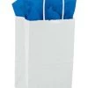 Small White Kraft Paper Shopping Bags - Case Of 100