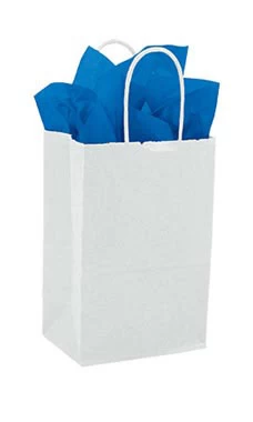 Small White Kraft Paper Shopping Bags - Case Of 100