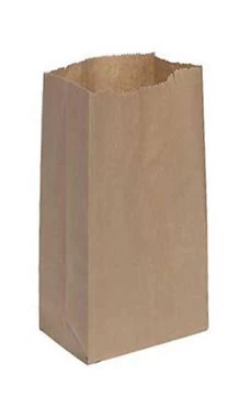 Small Natural Paper Sacks - Case Of 1,000